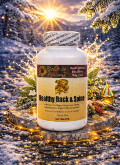 Healthy Back and Spine